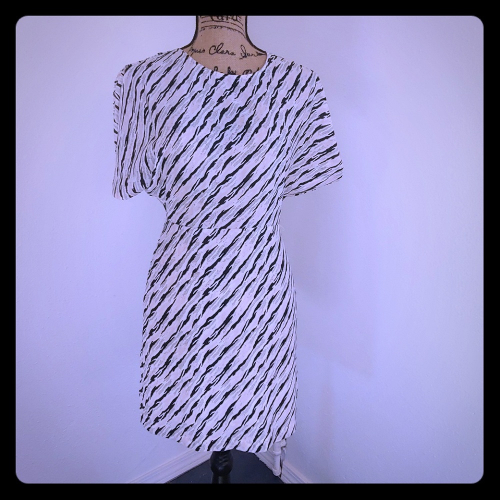 NWT BCBG Dress